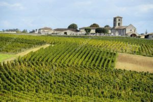 Vignoble Saint-Emilion