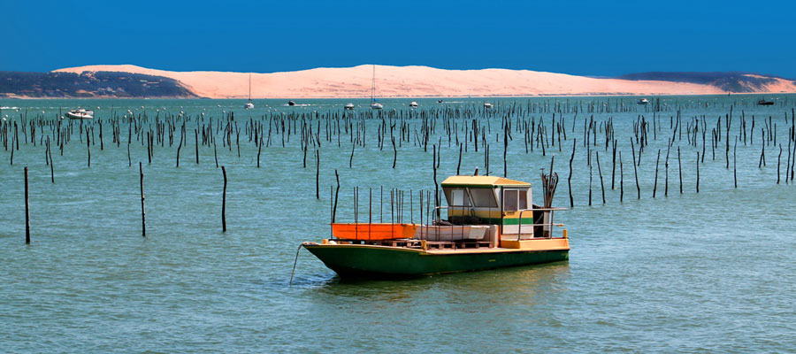 Decouvrir Arcachon